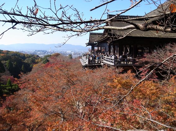 清水寺 清水寺