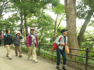 薬王院へ向かう参道をウォーキング
